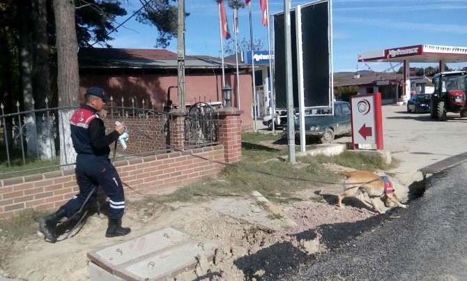 Sara Hastası Genç, Ormanlık Alanda Ölü Olarak Bulundu
