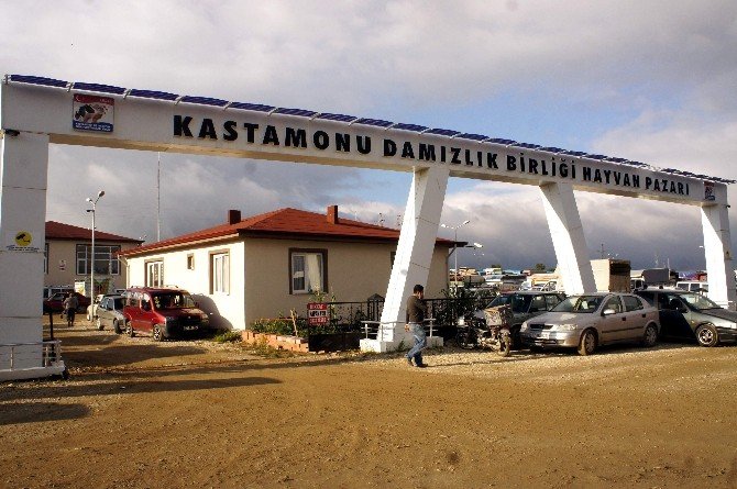 Kastamonu’da Hayvan Pazarları Kapatıldı