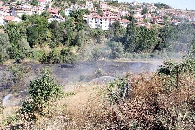 Kastamonu’da Anız Yangını