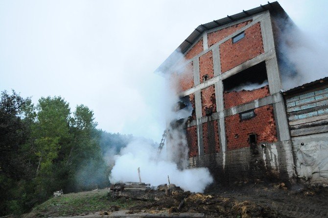 Kastamonu’da 2 Bin Balya Saman İle 3 Ton Buğday Yandı