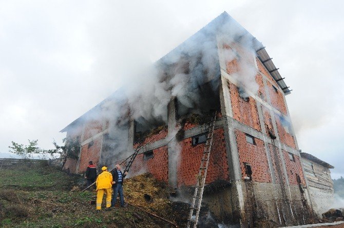 Kastamonu’da 2 Bin Balya Saman İle 3 Ton Buğday Yandı