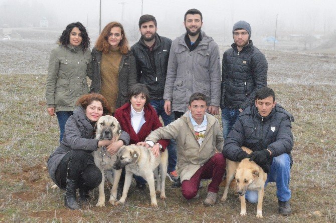 Kastamonu’da Üniversiteli Öğrencilerden Örnek Davranış