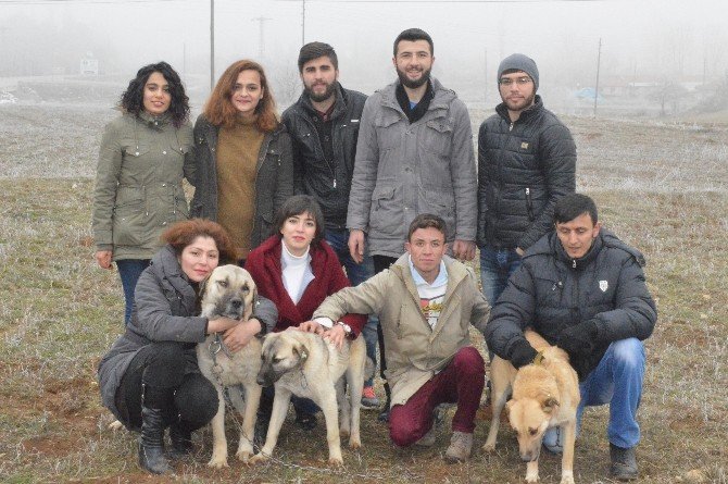 Kastamonu’da Üniversiteli Öğrencilerden Örnek Davranış