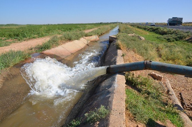 300 Liralık Kazanç İçin 3 Bin Liralık Elektrik Harcanıyor