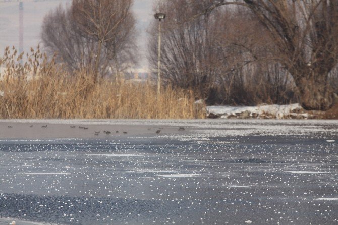 Kayseri Şeker Gölü Soğuktan Buz Tuttu