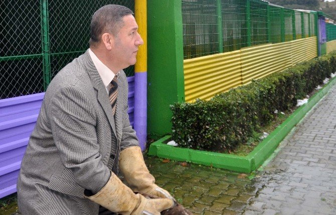 Yaralı Doğan Tedavi Edilerek Doğaya Salındı