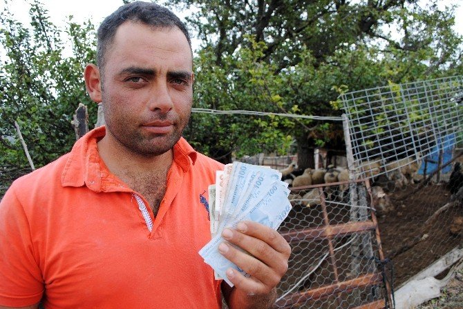 Başlık Parasıyla Dolandırılan Çobanı Polis Kurtardı