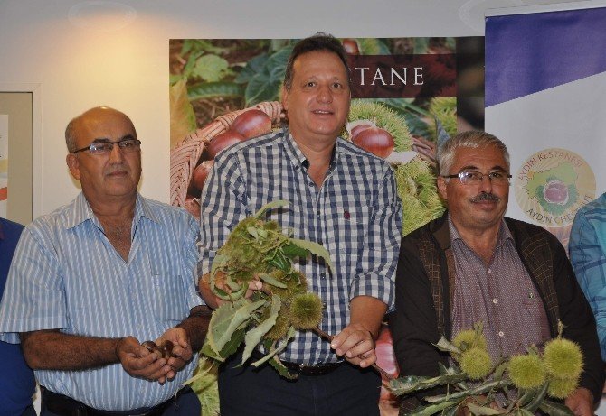 Kestane Üretimi Artırılmalı