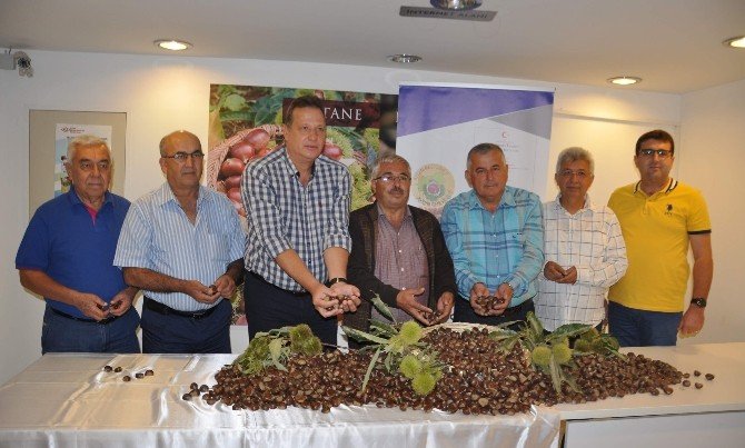 Kestane Üretimi Artırılmalı