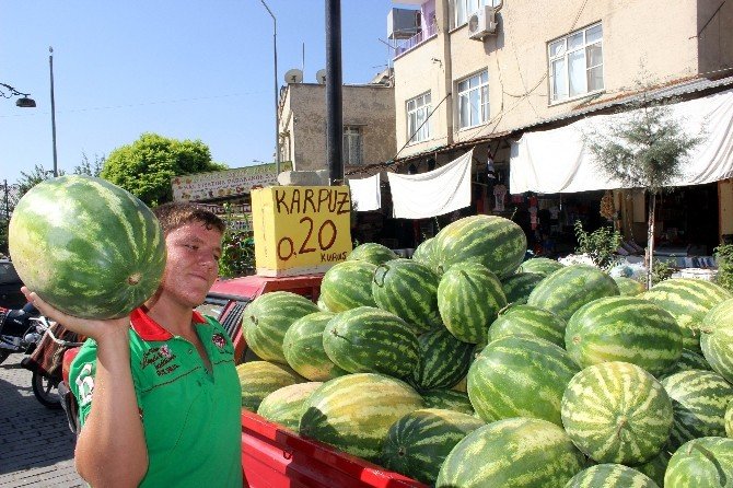 Adana Karpuzunun Fiyatı Tezgahta 20 Kuruşa Düştü