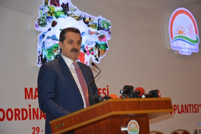 Bakan Çelik’ten Zam Tepkisi