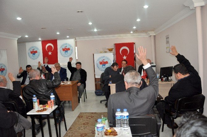 Karacabey’de Hayvan Sayısı Azaldı