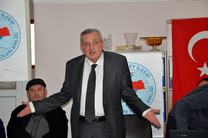 Karacabey’de Hayvan Sayısı Azaldı