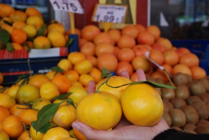 Gribal Enfeksiyona Karşı Meyve
