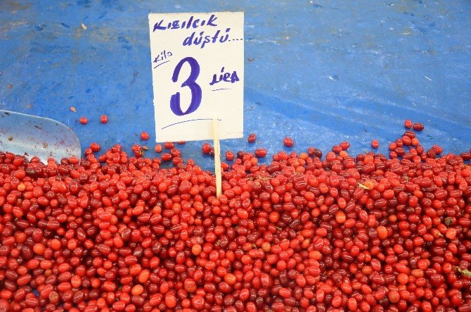 Pazarda Alıcı Bulamayan Kızılcık İneklere Yem Oluyor