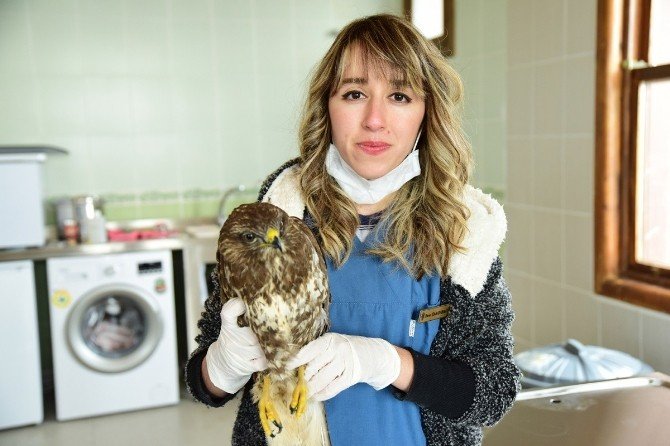 Kuş Cenneti’nde Hasta Kuşlara Özel Bakım