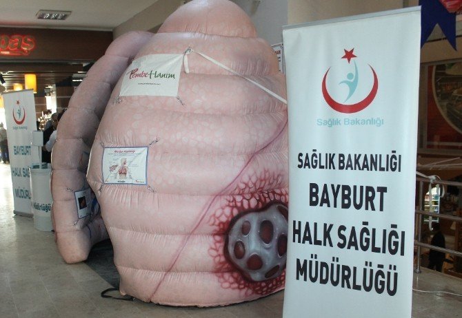 ’Koca Ciğer’ Bayburt’ta Sergilendi