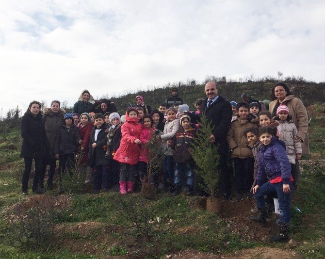 Minik Eller Gebze’de Ağaç Dikti