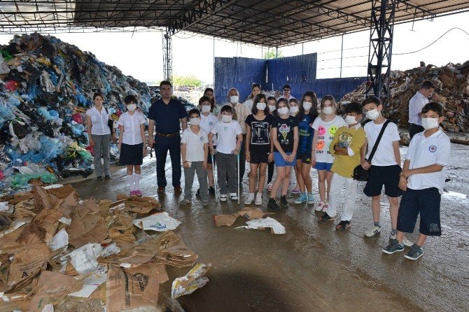 Geri Dönüşüm Yoluyla 4 Yılda 425 Bin Ağacın Kesilmesi Engellendi