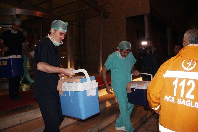 Organları 5 Kişiye Umut Olacak