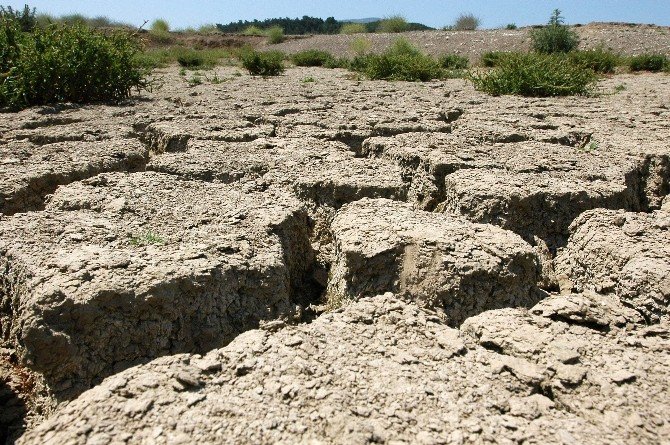 Bir Çift Ayakkabı Üretimi İçin Sekiz Bin Litre Su Harcanıyor