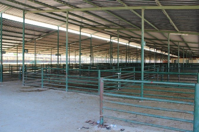 Terör Olayları Batıdaki Hayvan Pazarlarını Etkiledi