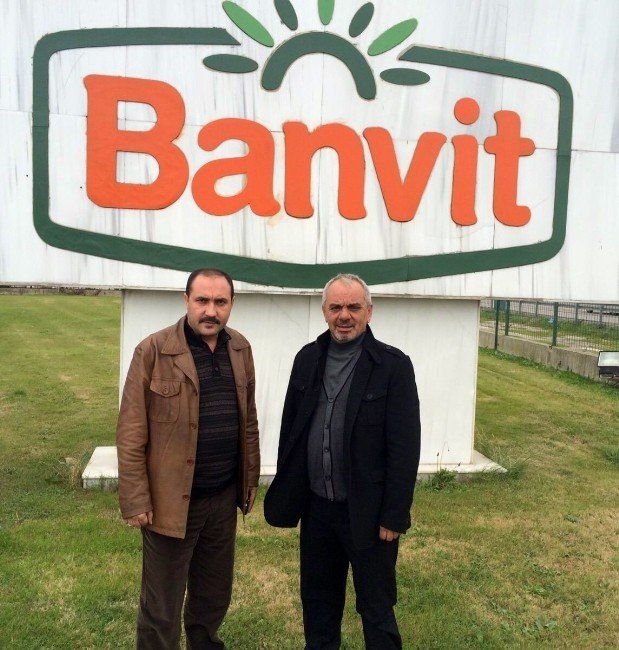 Kuş Gribinin Vurduğu Tavuk Sektöründe İflaslar Kapıda