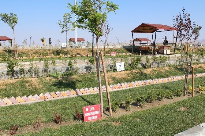 Sungurlu’da Mesire Alanı Ve Parklara Uyarı Levhası Konuldu