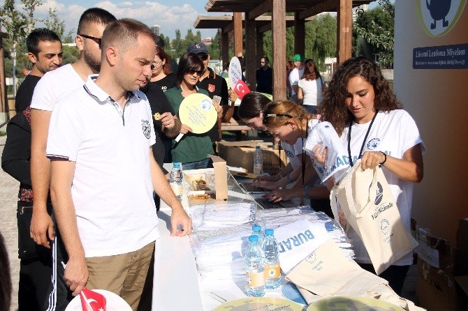 2. Büyük Lenfoma Yürüyüşü