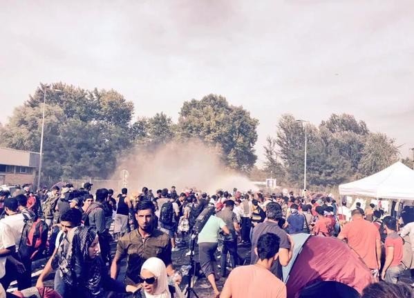 Sığınmacılar Sırbistan Sınırına Dayandı