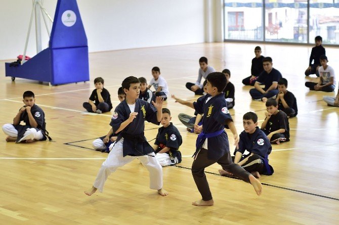 Sayokan Alplerinden Gövde Gösterisi