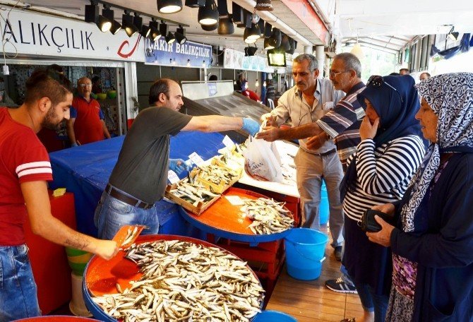 Marmara’da Palamut Bereketi