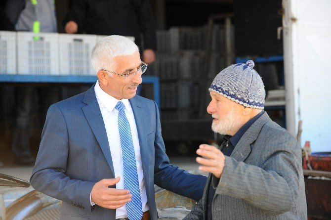 Marmarabirlik 60 Bin Ton Ürün Alacak