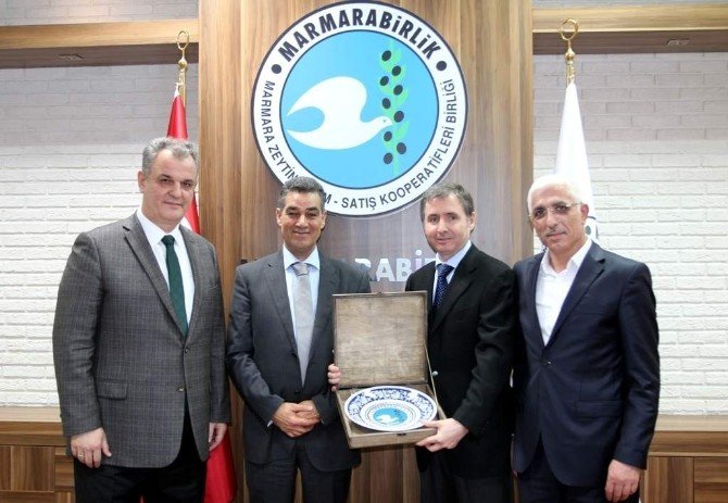 Marmarabirlik Doğal Zeytin Olgunlaştırma Tekniğini Dünyaya Anlatacak