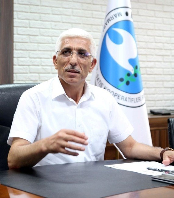 Marmarabirlik’ten Yağlık Zeytine Esnek Fiyat