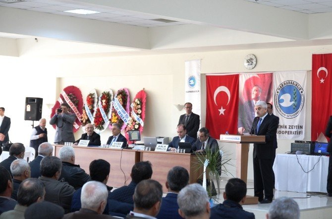 Asa: "Her Geçen Yıl Büyüyoruz"