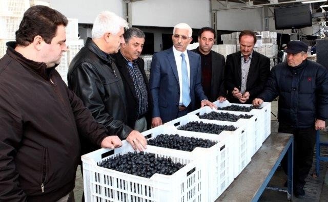 Kampanya Başladı, Yeni Kesinti Yok