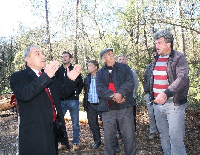 Ağaç Kesimi Köylüyü Ayağa Kaldırdı