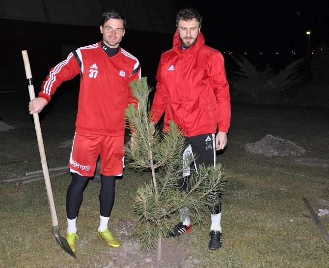 Medicana Sivasspor Organ Bağışı İçin Fidan Dikti