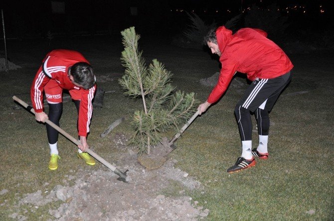 Medicana Sivasspor Organ Bağışı İçin Fidan Dikti