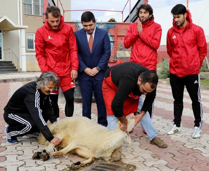 15 Hafta Sonra Gelen Galibiyete 15 Kurban