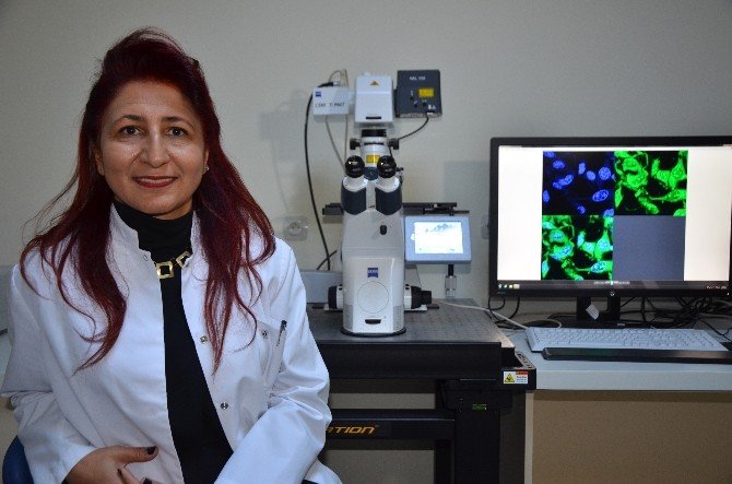 Kanser Araştırmalarında Rota Kök Hücreye Çevrildi