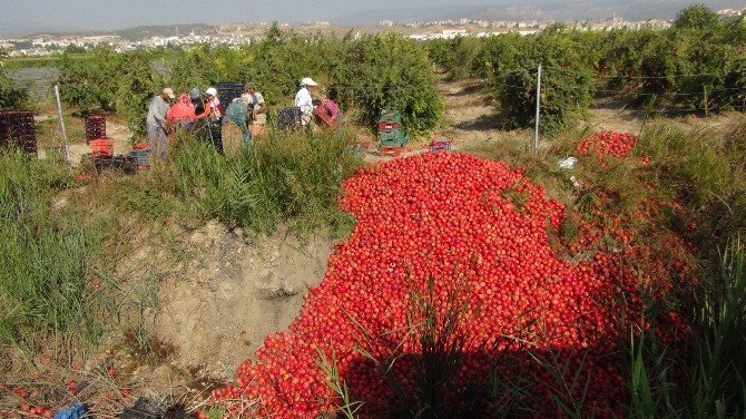 Terör Olayları Nar Üreticisini De Vurdu