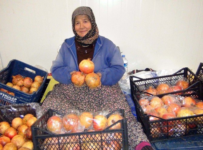 Narlar Kış Uykusuna Yatırıldı