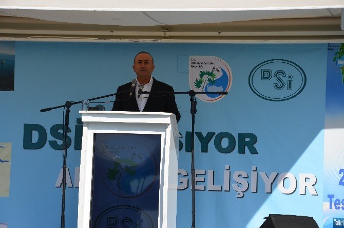 Ak Parti Genel Başkan Yardımcısı Mevlüt Çavuşoğlu: