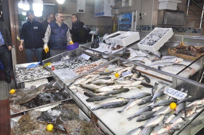 Sinop Halkı Balığa Doydu