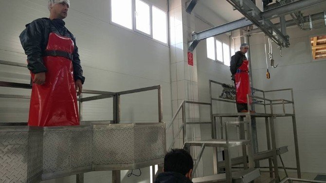 Modernize Edilen Pazaryeri Belediyesi Mezbahanesi Hizmete Girdi