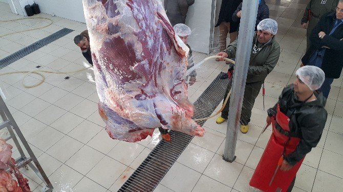 Bilecik’te Belediye Mezbahalarının Faaliyetlerine Son Verildi