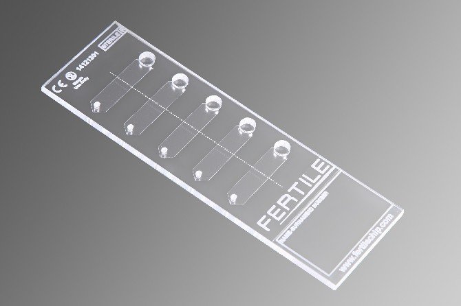Mikroçip, Tüp Bebekte Başarı Oranını 2-3 Kat Artırdı