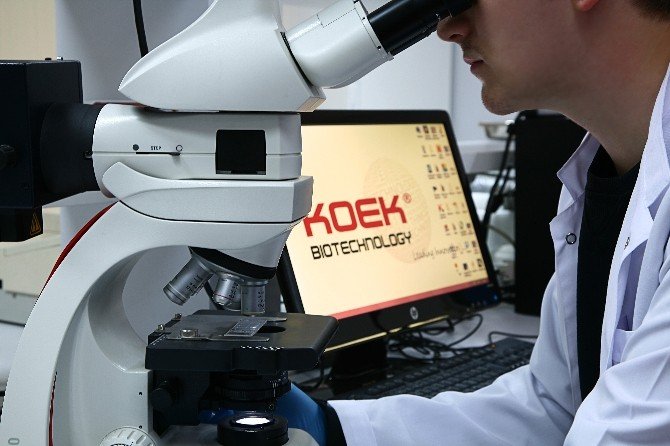 Mikroçip, Tüp Bebekte Başarı Oranını 2-3 Kat Artırdı